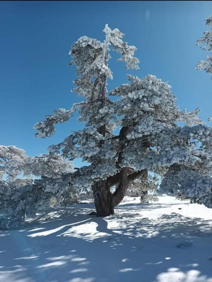Alojamiento El Recreo Cazorla Exteriör bild